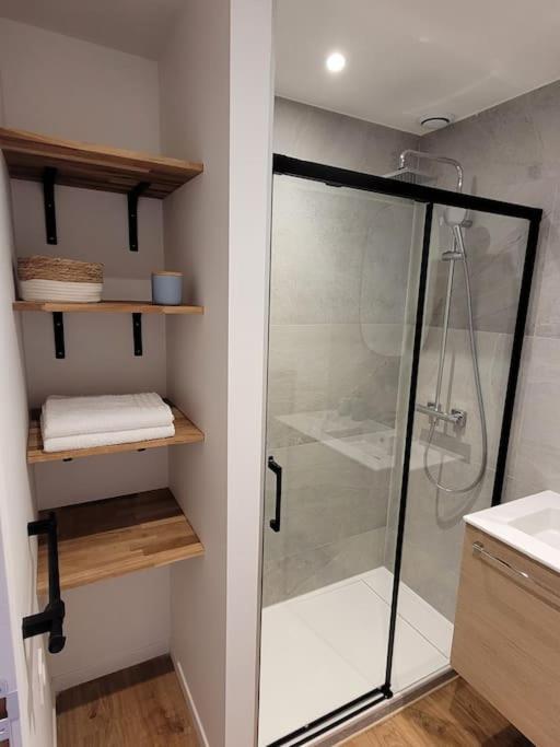 Studio 2 Voyageurs Au Coeur De Ville Sallanches Kültér fotó